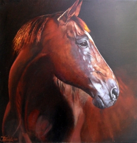 Natasa Kodela, Horse Portrait, Oil on Canvas, 40x40cm