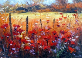 Zoran Zivotic, Red Poppy Fields, Oil on canvas 25x35cm